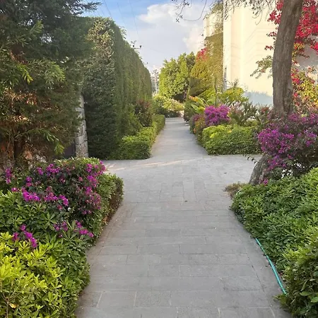Tuerkbuekuende Manzarali Yeni * בודרום